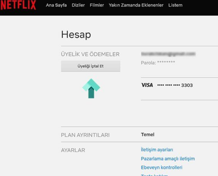 Netflix ödeme yöntemi değiştirme